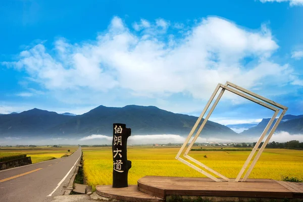 Madeira Bispo Brown Avenue Chishang Taitung Taiwan — Fotografia de Stock