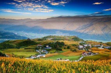 Lioushidan Dağı 'nın (60 Taş Dağ) sonbahar manzarası. Altın renkli Günışığı Denizi üzerindeki Saygın Günışığı Köyün ve Crepusküler Işının Yolu üzerindeki Gündüz Çiçekleri Tayvan estetik algısıdır.