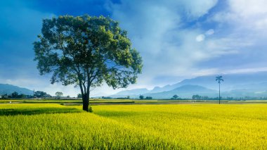 Bolang Dadao, Tayvan 'ın en güzel yolu, Taitung, Tayvan