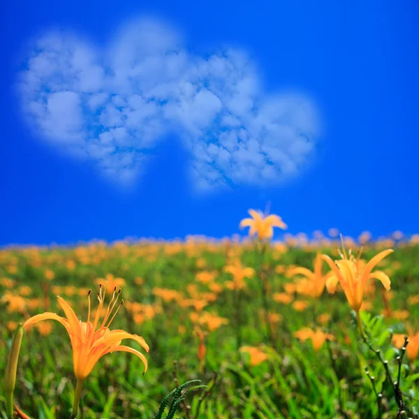 Bild einer Herzwolke am blauen Himmel — Stockfoto
