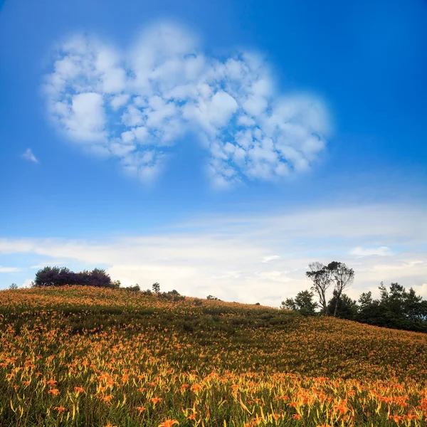 Bild einer Herzwolke am blauen Himmel — Stockfoto