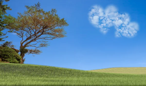 Imagem de uma nuvem de coração no céu azul — Fotografia de Stock