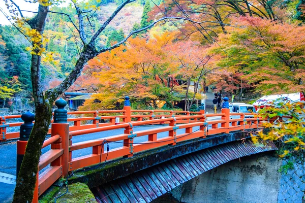 Jingo-ji Kyoto bir Budist tapınağı olduğunu — Stok fotoğraf