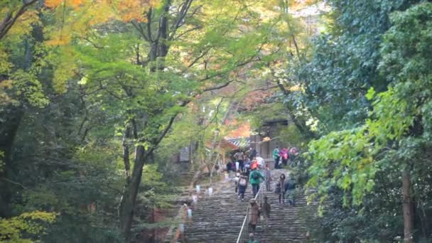 Jingo-ji es un templo Buddhist en Kyoto — Vídeo de stock