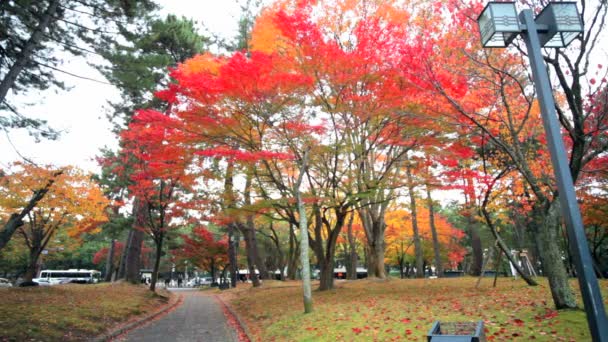 Jingo-ji Kyoto bir Budist tapınağı olduğunu — Stok video