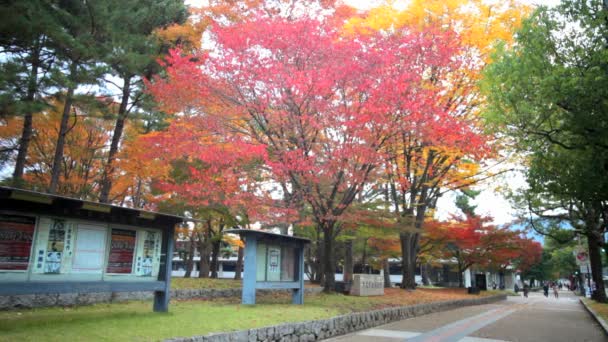 Jingo-ji Kyoto bir Budist tapınağı olduğunu — Stok video