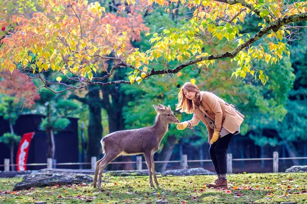 Bezoekers feed wilde herten in nara — Stockfoto