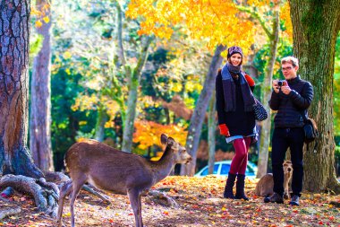 Nara stree görünümü güzel arka plan ile