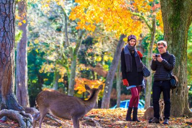 Nara stree görünümü güzel arka plan ile