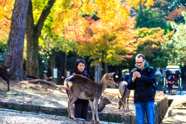 Nara stree pohled s pěkným pozadím — Stock fotografie