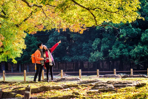 Nara bölümü Güz — Stok fotoğraf