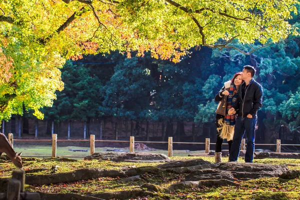 Nara Parte en otoño —  Fotos de Stock