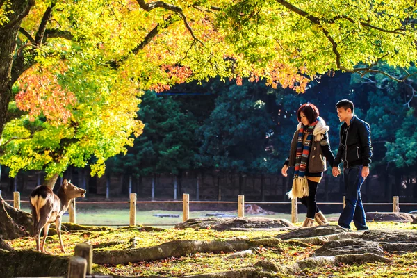 Nara Partie à l'automne — Photo