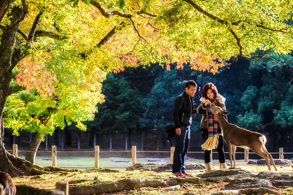 Nara část na podzim — Stock fotografie