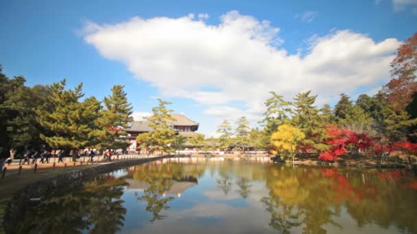 Chcete ji temple v nara Japonsko je největší pagoda chrámu v c — Stock video