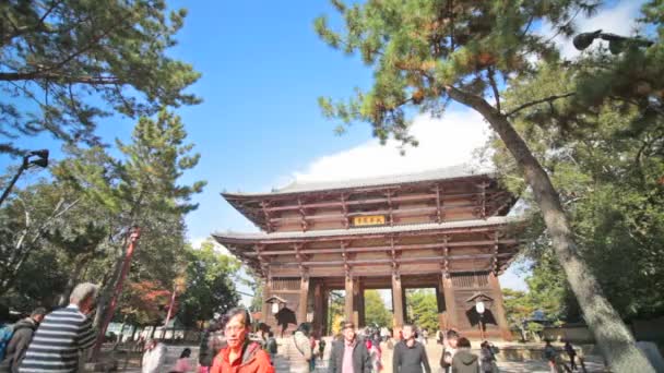Templo To-ji en Nara Japón es la pagoda templo más grande en el c — Vídeo de stock