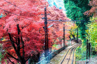enryaku-ji mount hiei otsu içinde yer alan bir tendai Manastırı olan, 