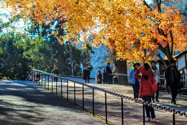 Enryaku-ji mount hiei otsu içinde yer alan bir tendai Manastırı olan, — Stok fotoğraf