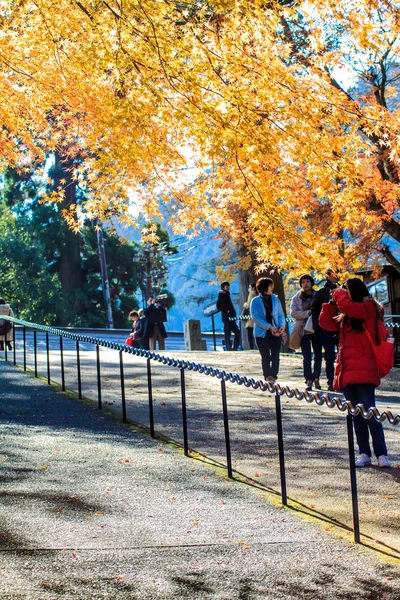 Enrjakudži je Kubik klášter na hoře hiei v otsu, — Stock fotografie