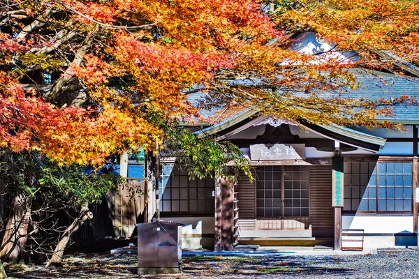 Enryaku-ji is a Tendai monastery located on Mount Hiei in Otsu, — Stock Photo, Image