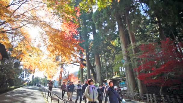 Enryaku-ji is a Tendai monastery — Stock Video