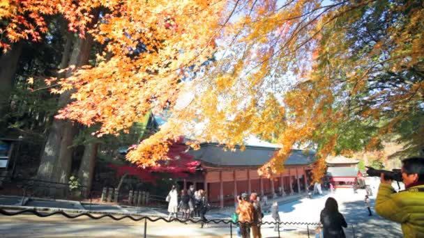 Enryaku-ji είναι ένα μοναστήρι tendai — Αρχείο Βίντεο