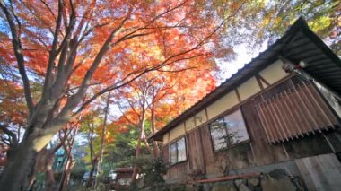 enryaku-ji tendai Manastırı olan