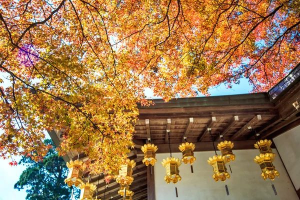 Mount Hiei — Stock Photo, Image