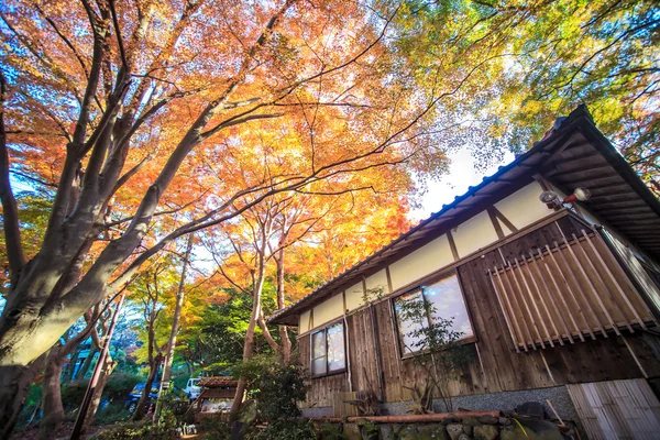 Monte hiei — Fotografia de Stock