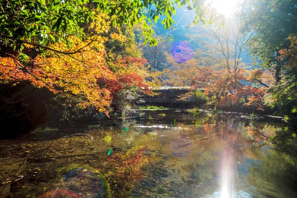 Mount hiei — Stock fotografie