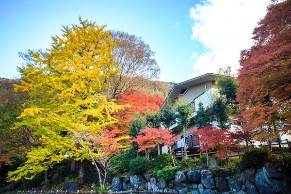 Mount Hiei — Stock Photo, Image