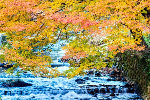 Kurama-dera — Foto Stock