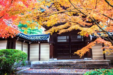 sonbahar renkleri eikando Tapınağı, kyoto, kansai, Japonya
