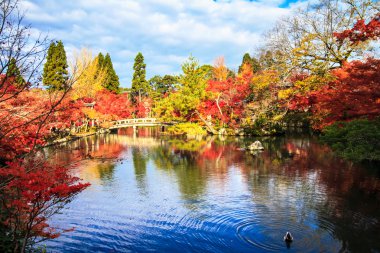 sonbahar renkleri eikando Tapınağı, kyoto, kansai, Japonya