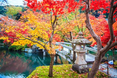sonbahar renkleri eikando Tapınağı, kyoto, kansai, Japonya