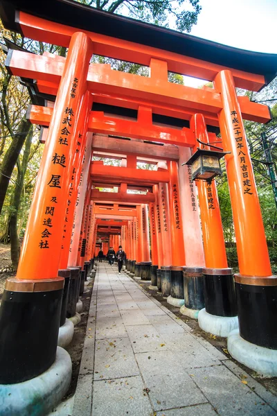 Fushimi Inari Taisha-Schrein in Kyoto, Japan — Stockfoto