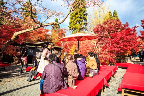 Eikando, kyoto — Stock fotografie