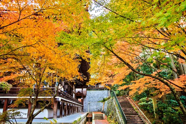 Eikando, Kyoto — Foto Stock