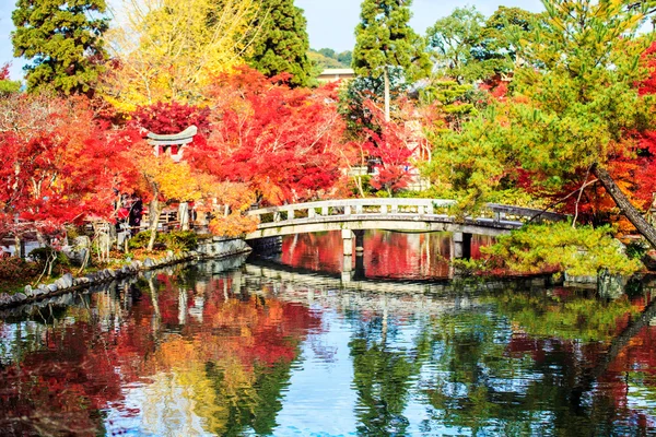 Podzimní barvy v eikando chrámu, Kjóto, kansai, Japonsko — Stock fotografie