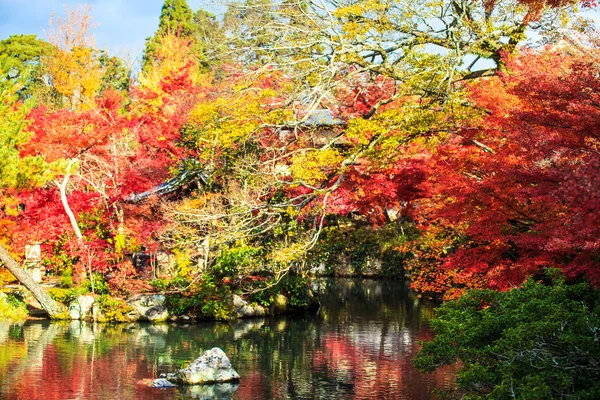 秋天的颜色，在 eikando 寺、 京都、 关西、 日本 — 图库照片