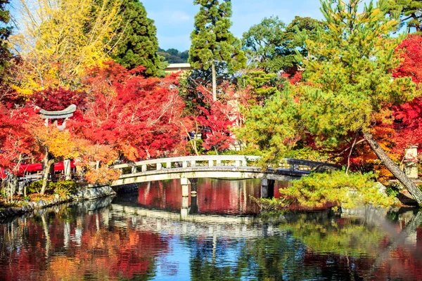 秋天的颜色，在 eikando 寺、 京都、 关西、 日本 — 图库照片