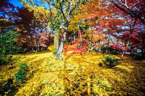 Autumn Colors in Eikando Temple, Kyoto, Kansai, Japan — Stock Photo, Image