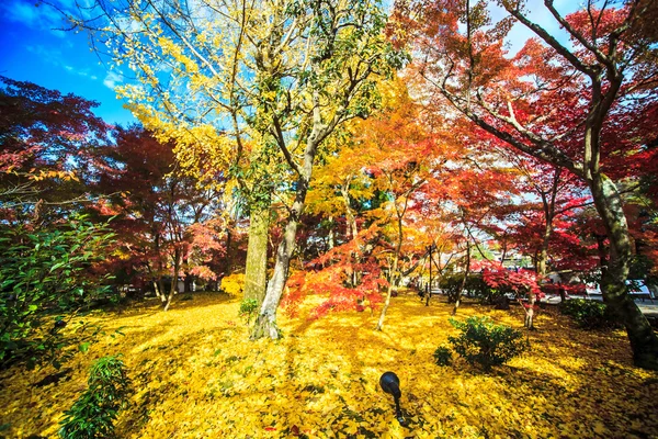 Осенние цвета в храме Эйкандо, Киото, Кансай, Япония — стоковое фото