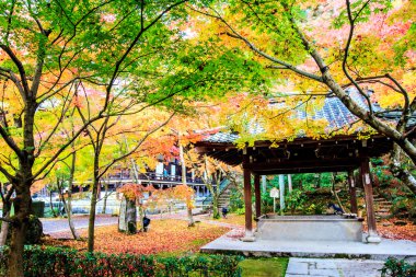 sonbahar renkleri eikando Tapınağı, kyoto, kansai, Japonya