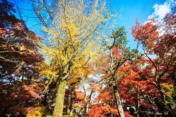 Őszi színek eikando templom, kyoto, kansai, Japán — Stock Fotó