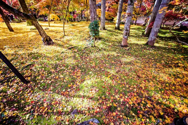 Couleurs d'automne dans le temple Eikando, Kyoto, Kansai, Japon — Photo