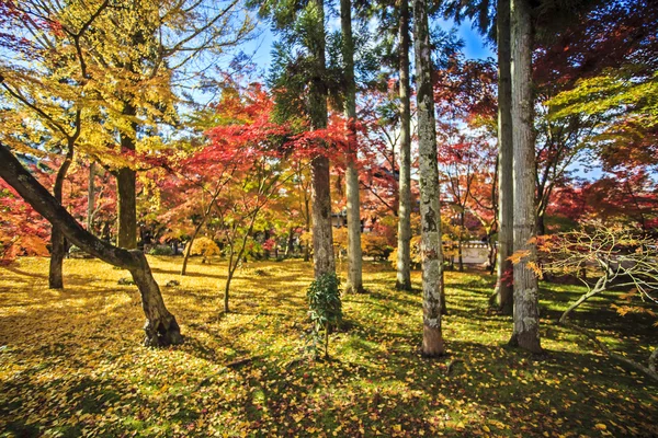 sonbahar renkleri eikando Tapınağı, kyoto, kansai, Japonya