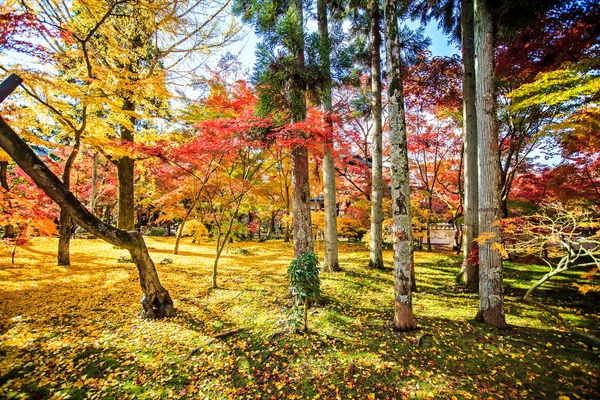 Cores do outono em Templo Eikando, Kyoto, Kansai, Japão — Fotografia de Stock