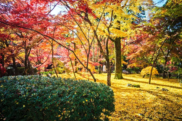 Kolory jesieni w świątyni eikando, Kioto, kansai, Japonia — Zdjęcie stockowe