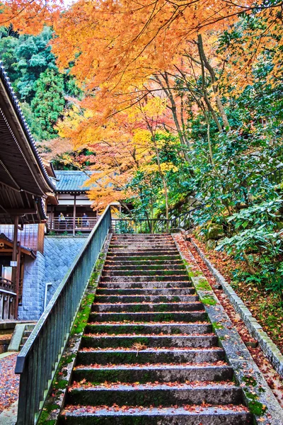 Colores de otoño en el templo de Eikando, Kioto, Kansai, Japón —  Fotos de Stock